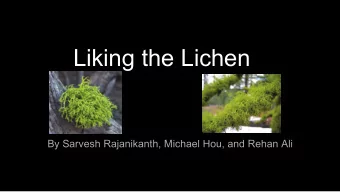 Liking the Lichen  By Sarvesh Rajanikanth, Michael Hou, and Rehan Ali  Introduction  Our project