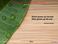 smart grows up harvest wise grows up the soil