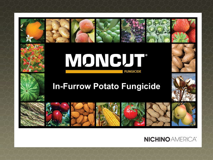 in furrow potato fungicide product characteristics