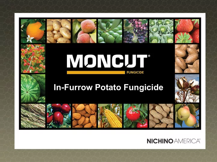in furrow potato fungicide product characteristics
