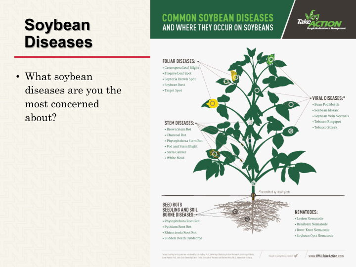 soybean diseases
