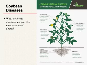 Soybean  Diseases  What soybean  diseases are you the  most concerned  about?  Frogeye Leaf Spot