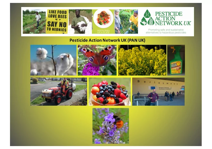 pesticide action network uk pan uk pesticide action