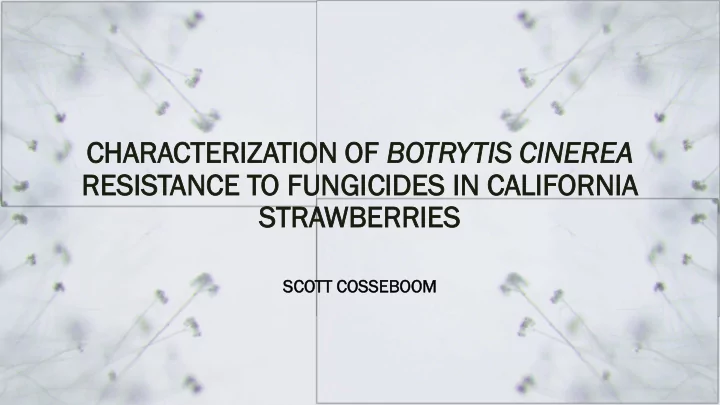 cha hara racteriza cterizati tion on of of bo botrytis