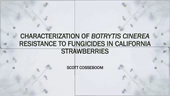CHA  HARA  RACTERIZA  CTERIZATI  TION  ON OF OF BO  BOTRYTIS  TIS CINE  NEREA  EA  RE  RESIS