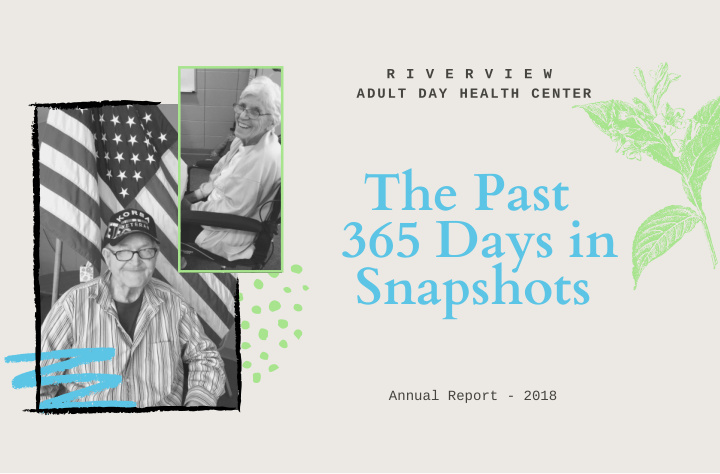 the past 365 days in snapshots