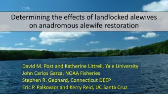 Determining the effects of landlocked alewives  on anadromous alewife restoration  David M. Post
