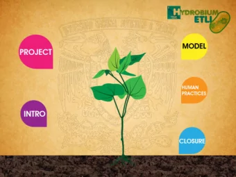 The Team  The Team  The Team  Hydrogen  Highly efficient energy carrier  Production requires