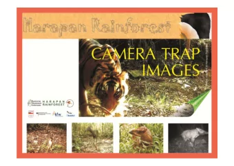 Ular Bido  Crested Serpent Eagle  Spilornis cheela  VU  Sempidan Merah  Crestless Fireback  Lophura