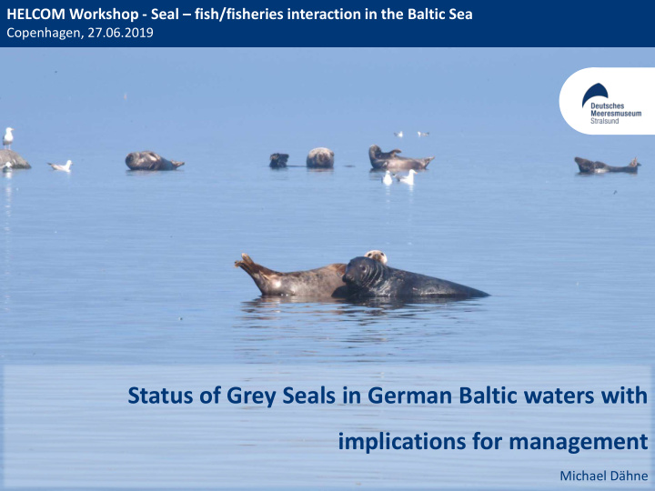 status of grey seals in german baltic waters with