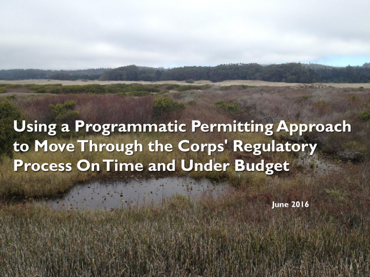using a programmatic permitting approach
