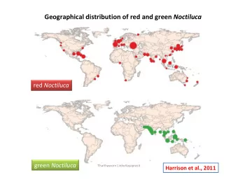Geographical distribution of red and green Noctiluca red Noctiluca green Noctiluca  Thaithaworn