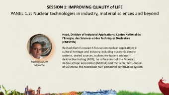 PANEL 1.2: Nuclear technologies in industry, material sciences and beyond  Head, Division of