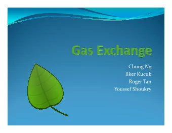 Chung Ng  Chung Ng  Ilker Kucuk  Roger Tan  Youssef Shoukry  Problem &amp; Solution  Gas is