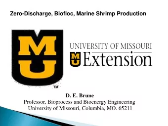 Zero-Discharge, Biofloc, Marine Shrimp Production  D. E. Brune  Professor, Bioprocess and Bioenergy