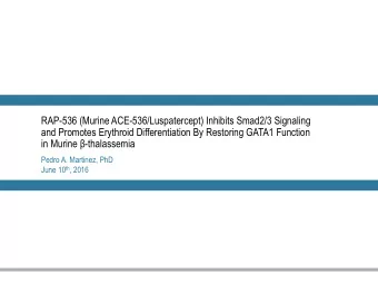 RAP-536 (Murine ACE-536/Luspatercept) Inhibits Smad2/3 Signaling  and Promotes Erythroid