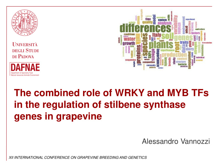 in the regulation of stilbene synthase