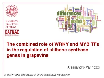 in the regulation of stilbene synthase  genes in grapevine  Alessandro Vannozzi  XII INTERNATIONAL