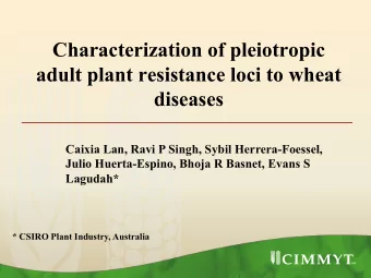 Characterization of pleiotropic  adult plant resistance loci to wheat  diseases  Caixia Lan, Ravi P