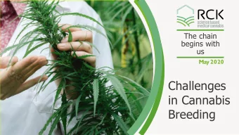 Challenges  in Cannabis  Breeding  RC  RCK - Le  Lead  ader  er in  in Can  Canna  nabis  bis Ge