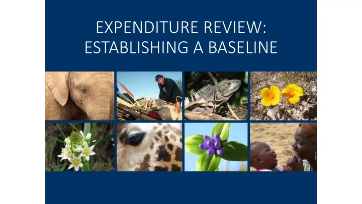 establishing a baseline