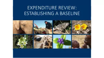 ESTABLISHING A BASELINE  1c) What is the scope, amount and  Steps in  in mobil  ilizin  ing