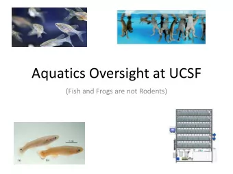 Aquatics Oversight at UCSF  (Fish and Frogs are not Rodents)  UCSF: Current Aquatics  Lab Care