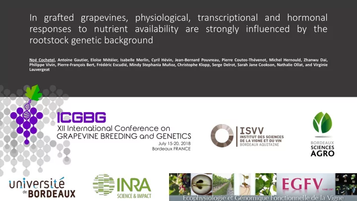 rootstock genetic background