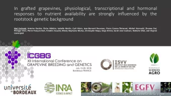 rootstock genetic background  No Cochetel, Antoine Gautier, Elose Mtier, Isabelle Merlin,