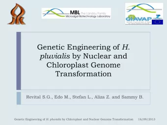 Chloroplast Genome  Transformation  Revital S.G., Edo M., Stefan L., Aliza Z. and Sammy B. Genetic