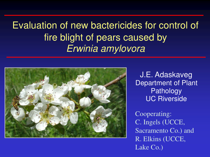 evaluation of new bactericides for control of fire blight