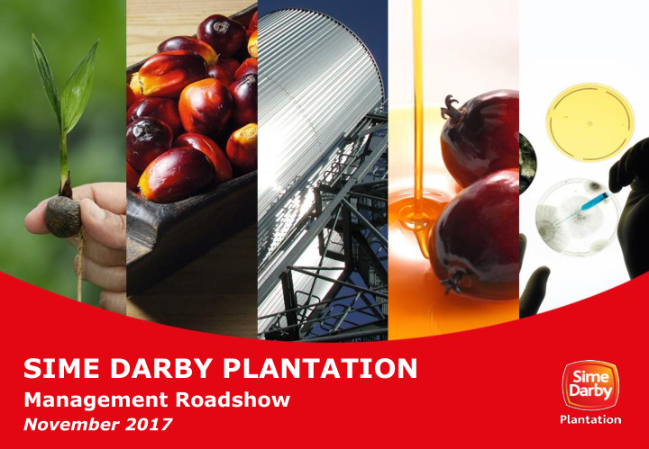 sime darby plantation