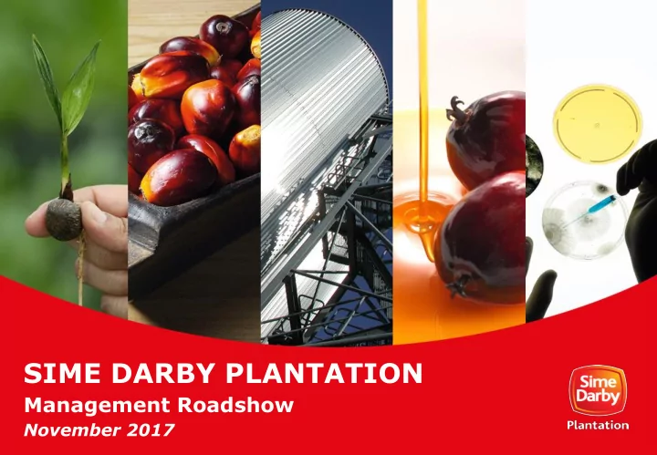 sime darby plantation
