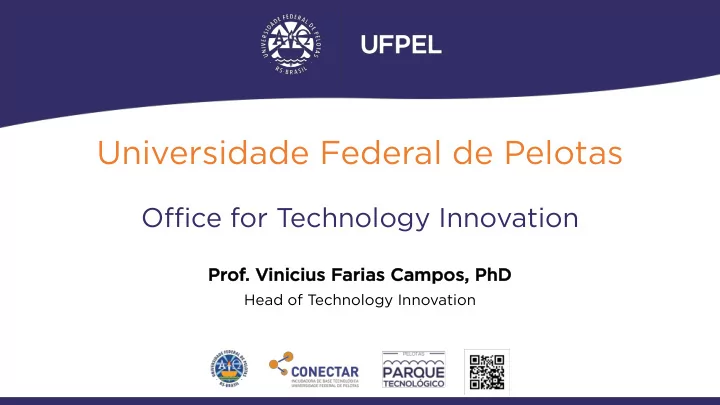 universidade federal de pelotas