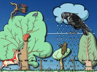 BUDDHIST BIRTH-STORIES  ARABIC I  ARABIC II  TIBETAN  CHINESE  SANSCRIT II  SANSCRIT I  BUDDHIST