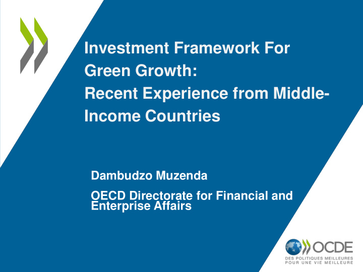 dambudzo muzenda oecd directorate for financial and