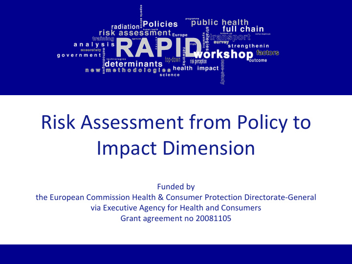 risk assessment from policy to impact dimension