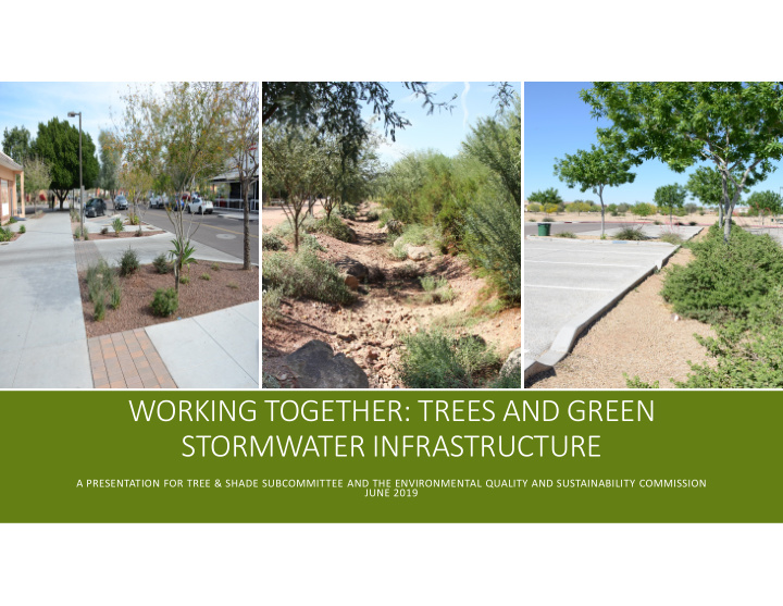 working together trees and green stormwater infrastructure