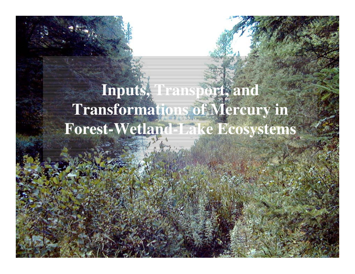 inputs transport and transformations of mercury in forest