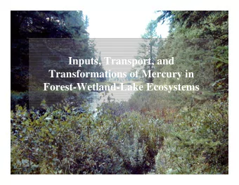 Inputs, Transport, and  Transformations of Mercury in  Forest-Wetland-Lake Ecosystems  Outline