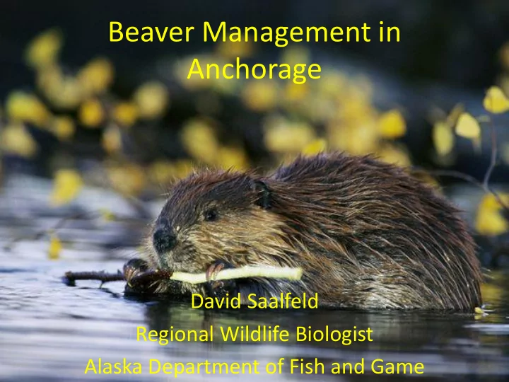 anchorage
