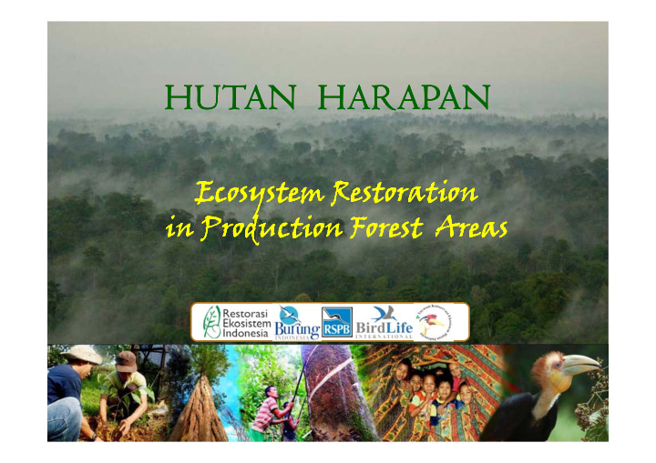 hutan hutan harapan hutan hutan harapan harapan harapan