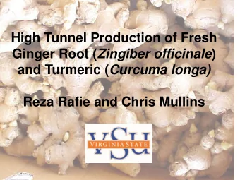 Ginger Root ( Zingiber officinale ) and Turmeric ( Curcuma longa)  Reza Rafie and Chris Mullins