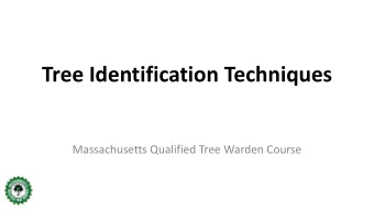 Tree Identification Techniques  Massachusetts Qualified Tree Warden Course  Learning Objectives