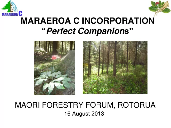 maraeroa c incorporation perfect companion s