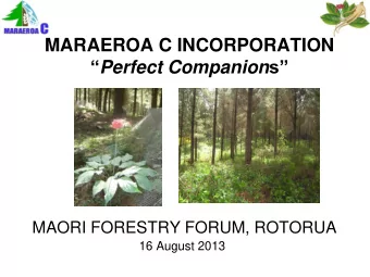MARAEROA C INCORPORATION  Perfect Companion s  MAORI FORESTRY FORUM, ROTORUA  16 August 2013
