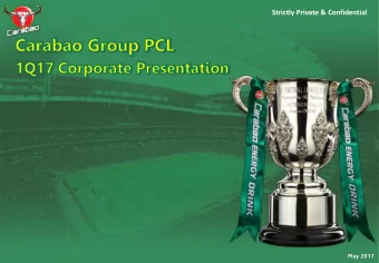 Strictly Private &amp; Confidential  0  May 2017  Disclaimer  The provision herein does not