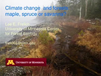Climate change  and forests:  maple, spruce or savanna?  Lee E. Frelich  University of Minnesota