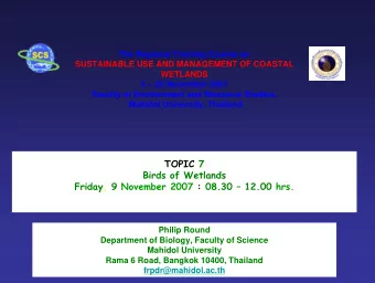 TOPIC 7  Birds of Wetlands  Friday, 9 November 2007 : 08.30  12.00 hrs.  Philip Round