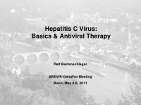 hepatitis c virus basics amp antiviral therapy